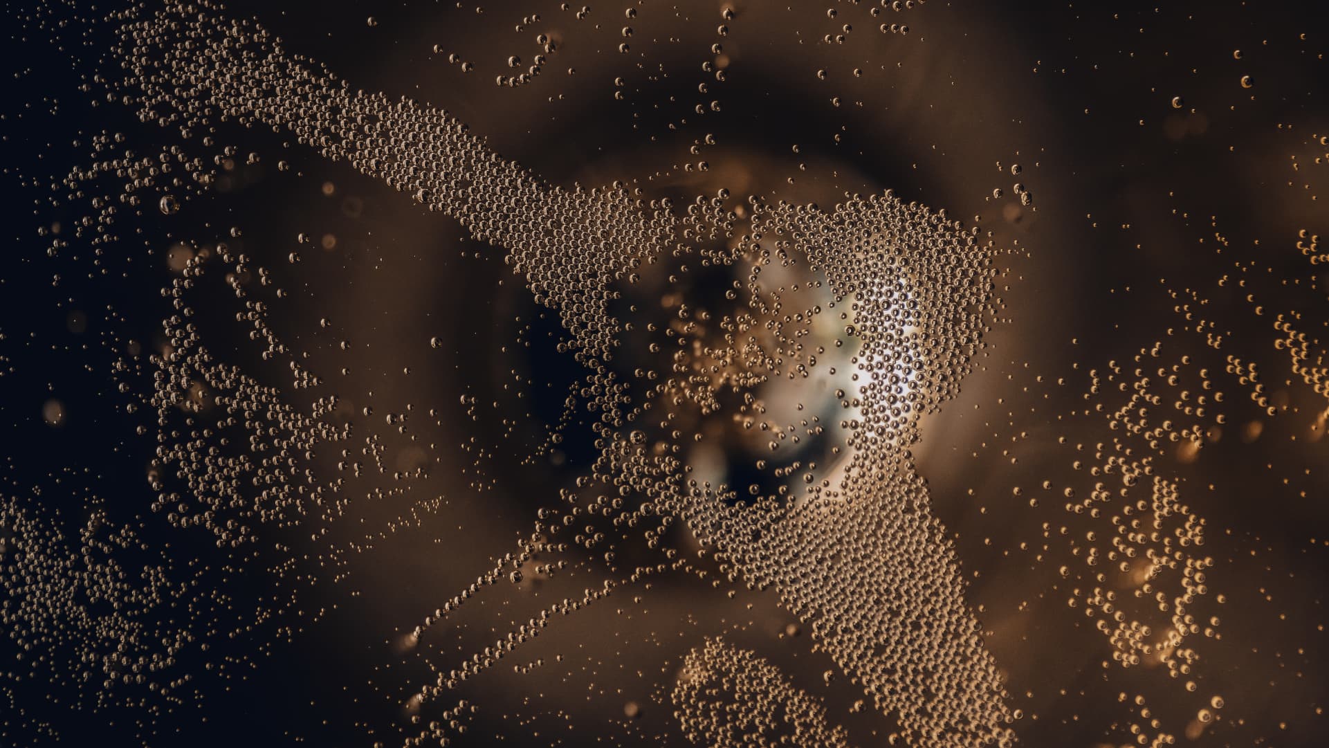 Champagne BLACK MOON